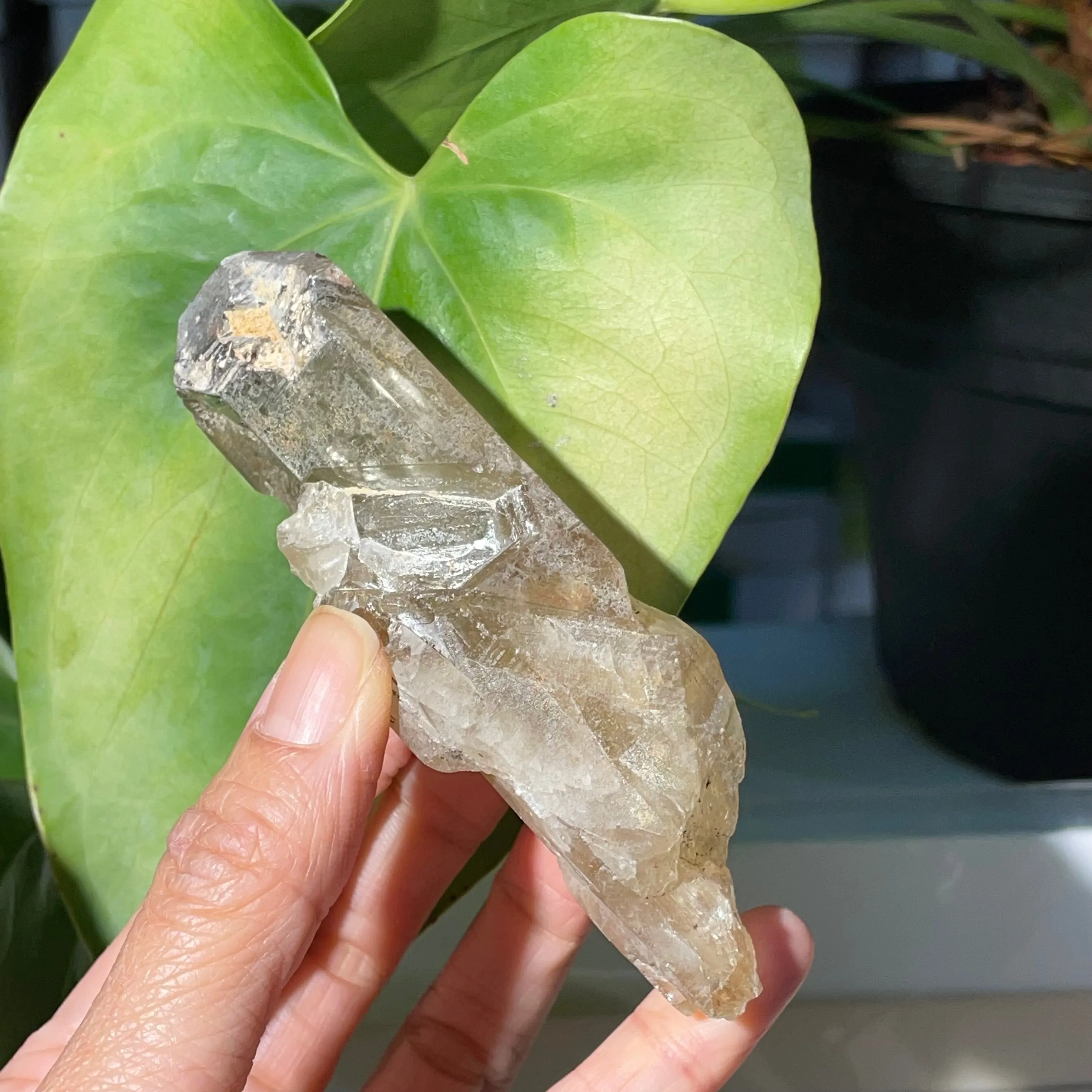 18 Pieces of Natural Zambian Citrine, Wholesale Flat