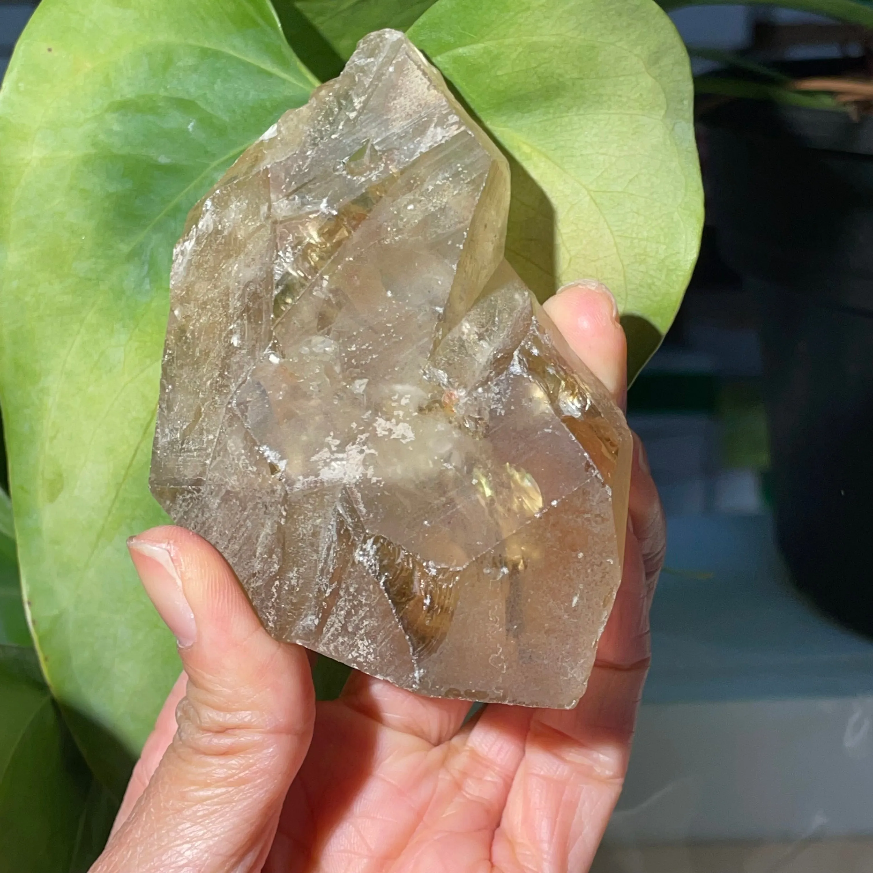 18 Pieces of Natural Zambian Citrine, Wholesale Flat
