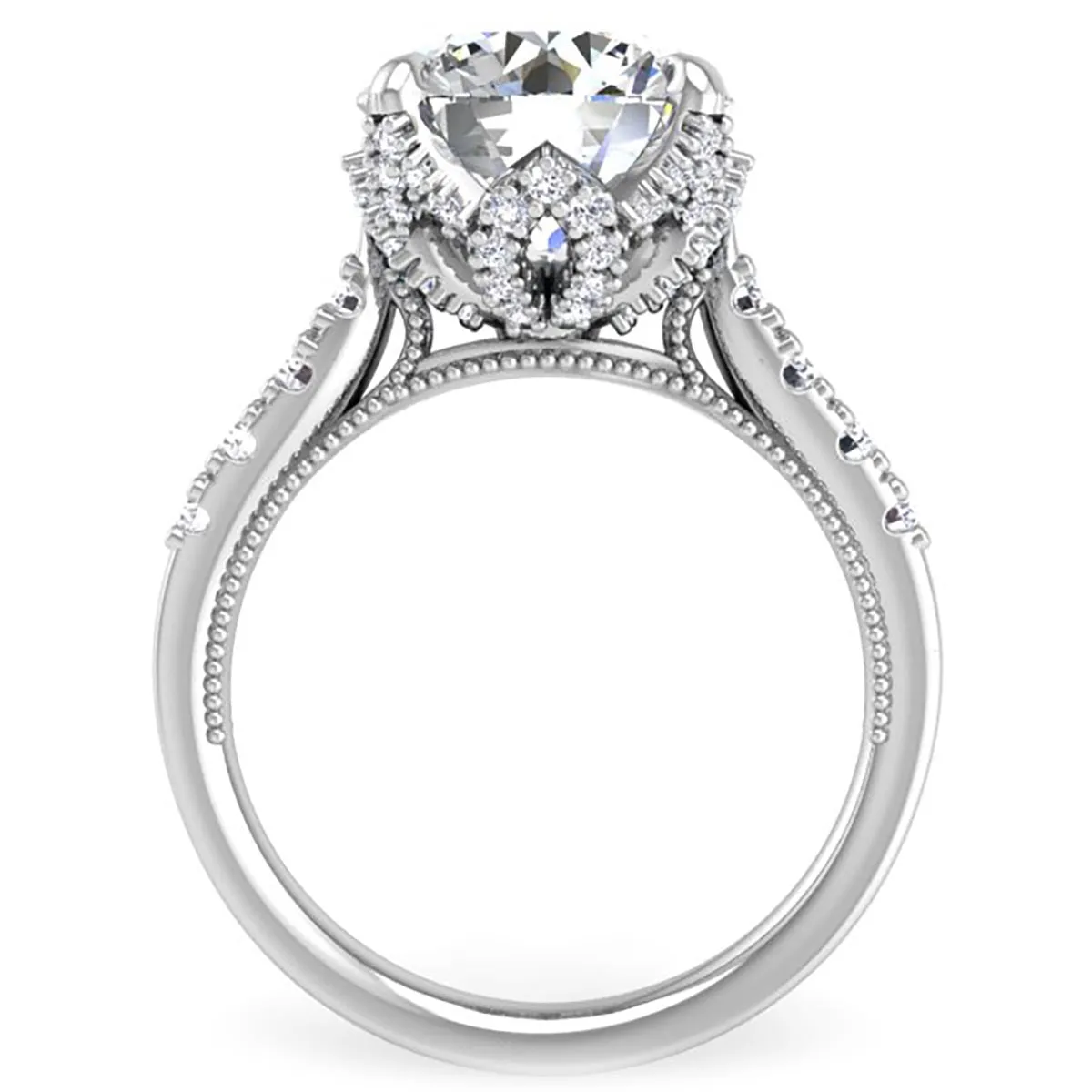 Ben Garelick Astra Galactic Head 4.0 Carat Round Diamond Engagement Ring