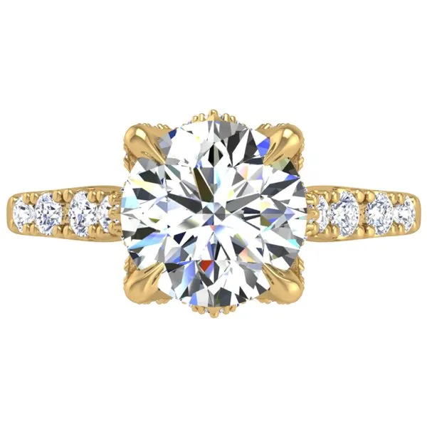 Ben Garelick Astra Galactic Head Round Diamond Engagement Ring