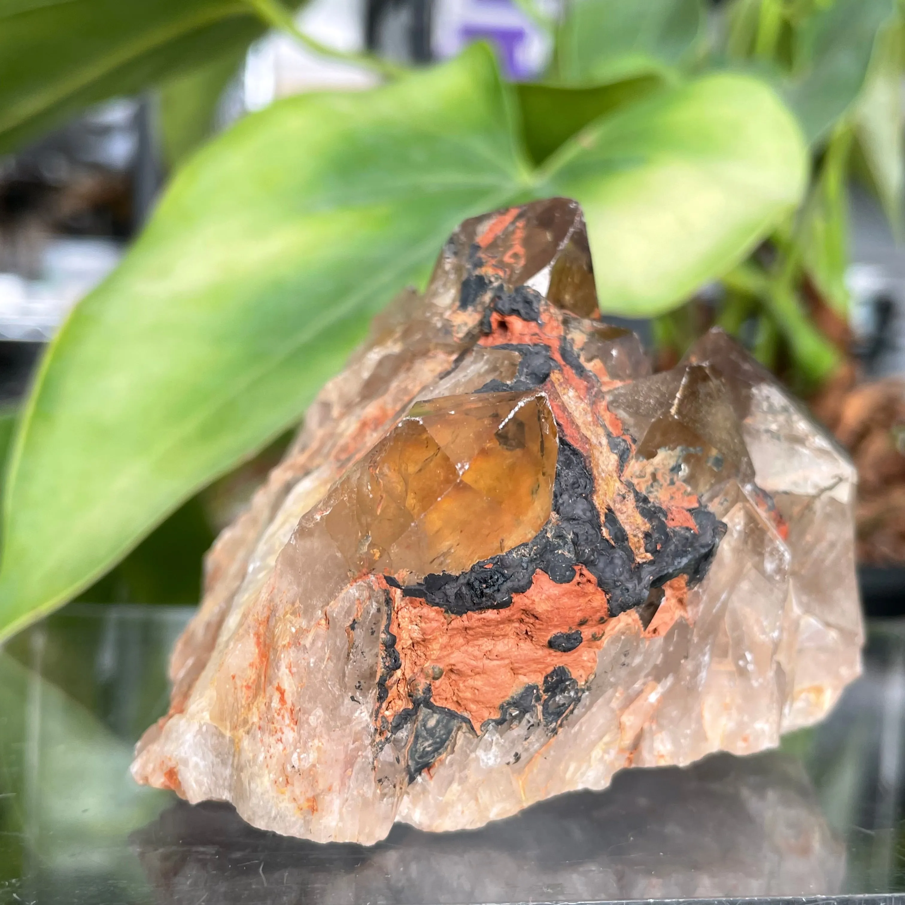 Kundalini Quartz Citrine,  Democratic Republic of Congo, Lwena, Congo Citrine