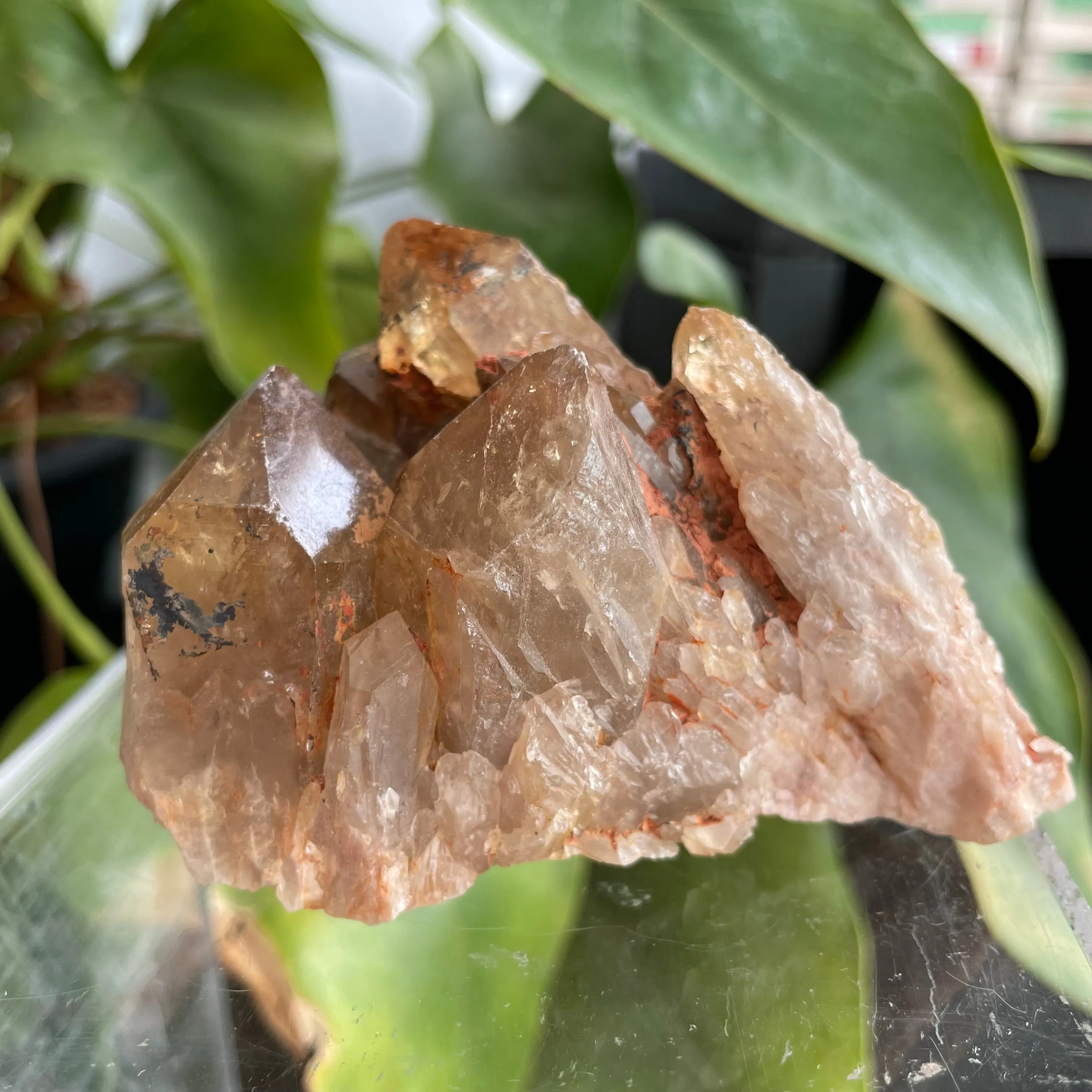 Kundalini Quartz Citrine,  Democratic Republic of Congo, Lwena, Congo Citrine
