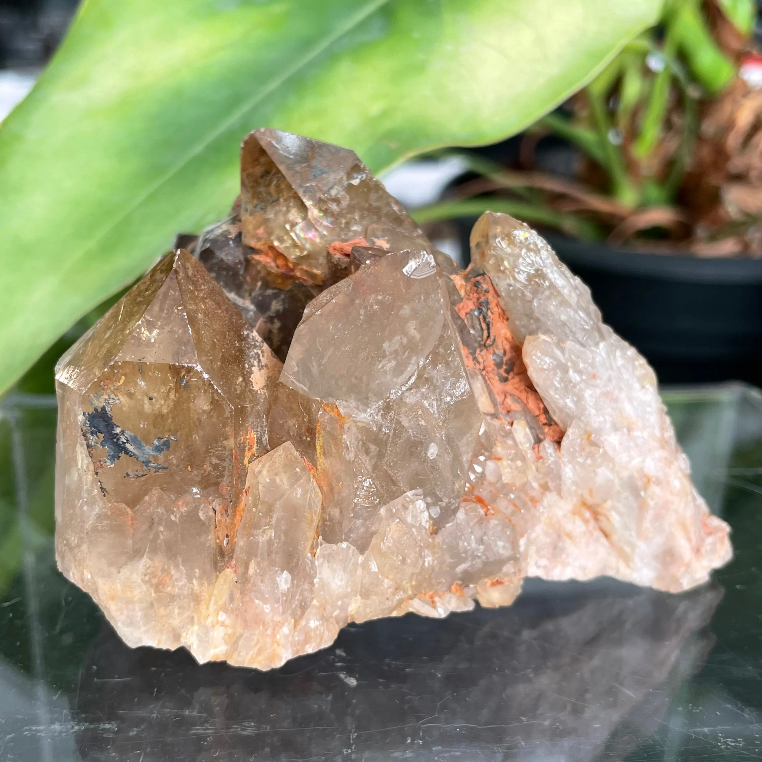 Kundalini Quartz Citrine,  Democratic Republic of Congo, Lwena, Congo Citrine