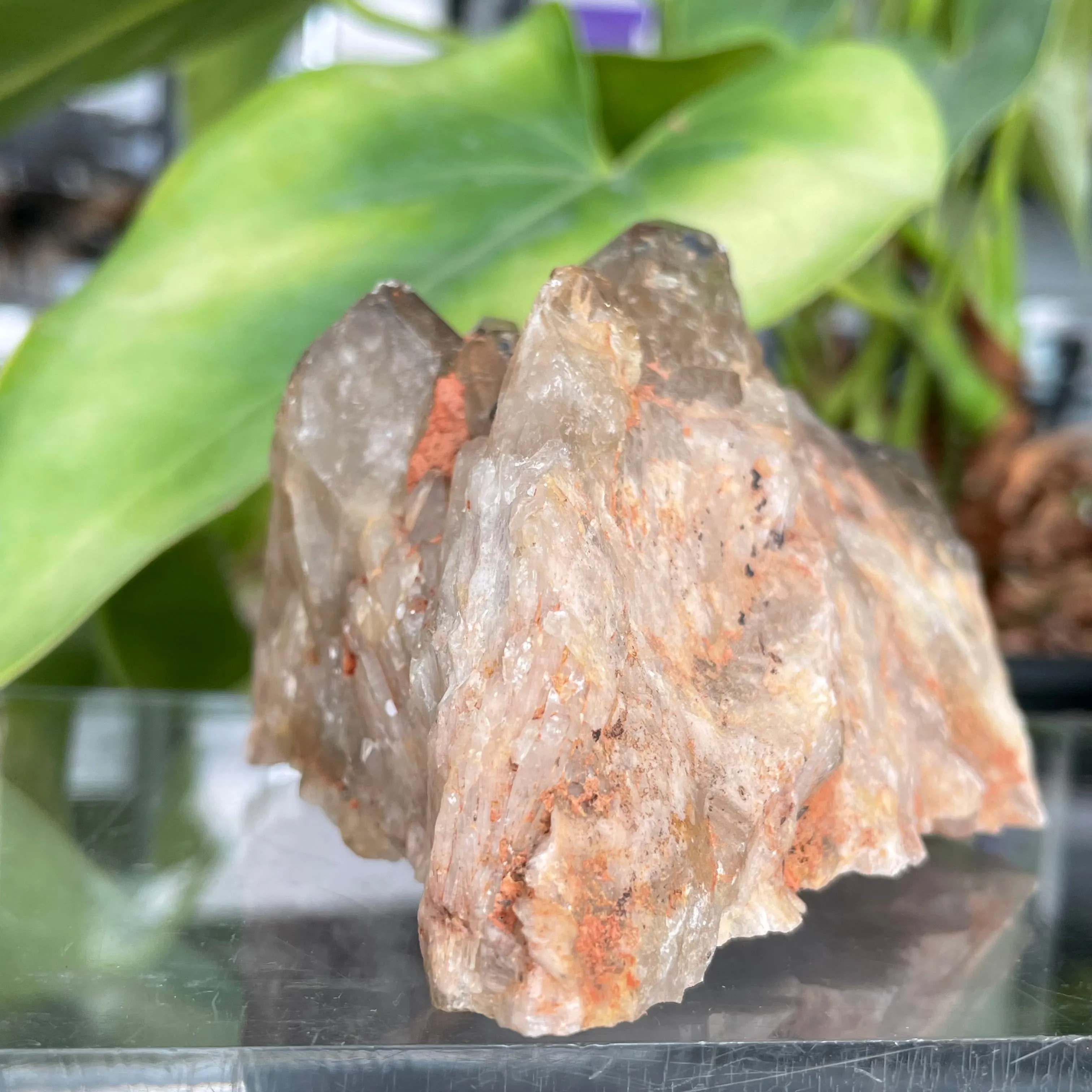 Kundalini Quartz Citrine,  Democratic Republic of Congo, Lwena, Congo Citrine