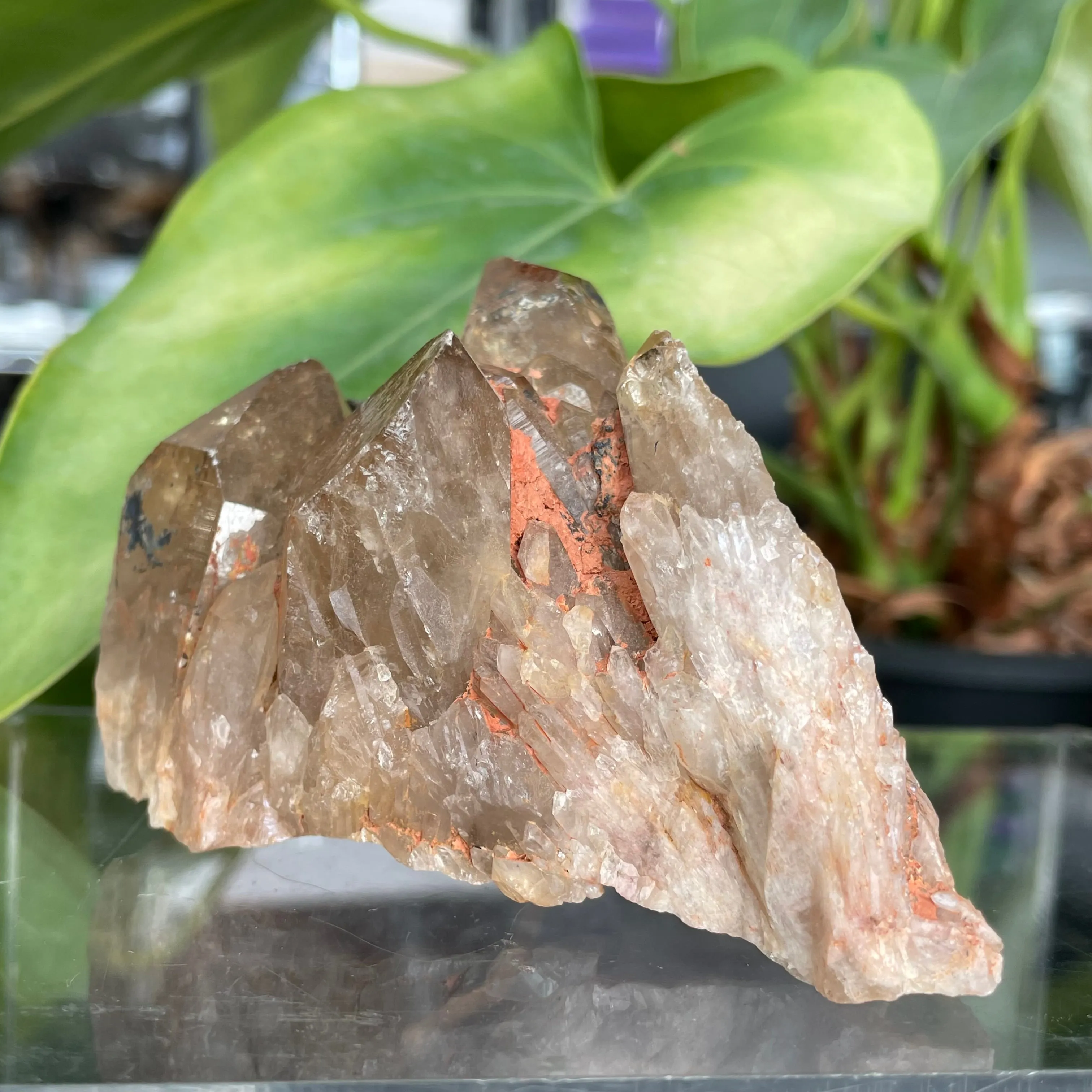 Kundalini Quartz Citrine,  Democratic Republic of Congo, Lwena, Congo Citrine