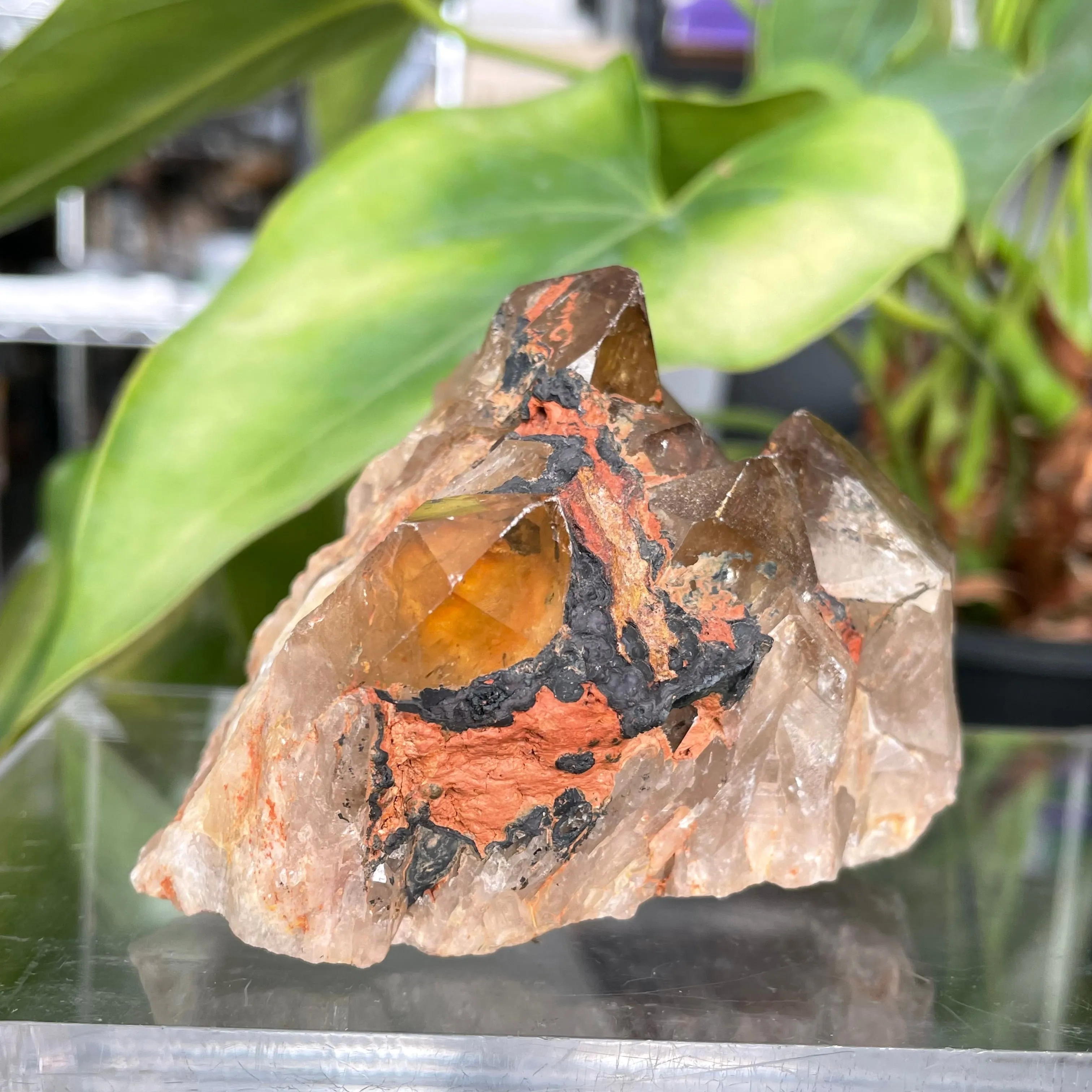 Kundalini Quartz Citrine,  Democratic Republic of Congo, Lwena, Congo Citrine