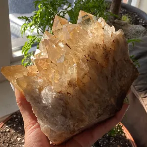 Large, Top Shelf, Natural Kundalini Quartz, Citrine From Democratic Republic Of Congo
