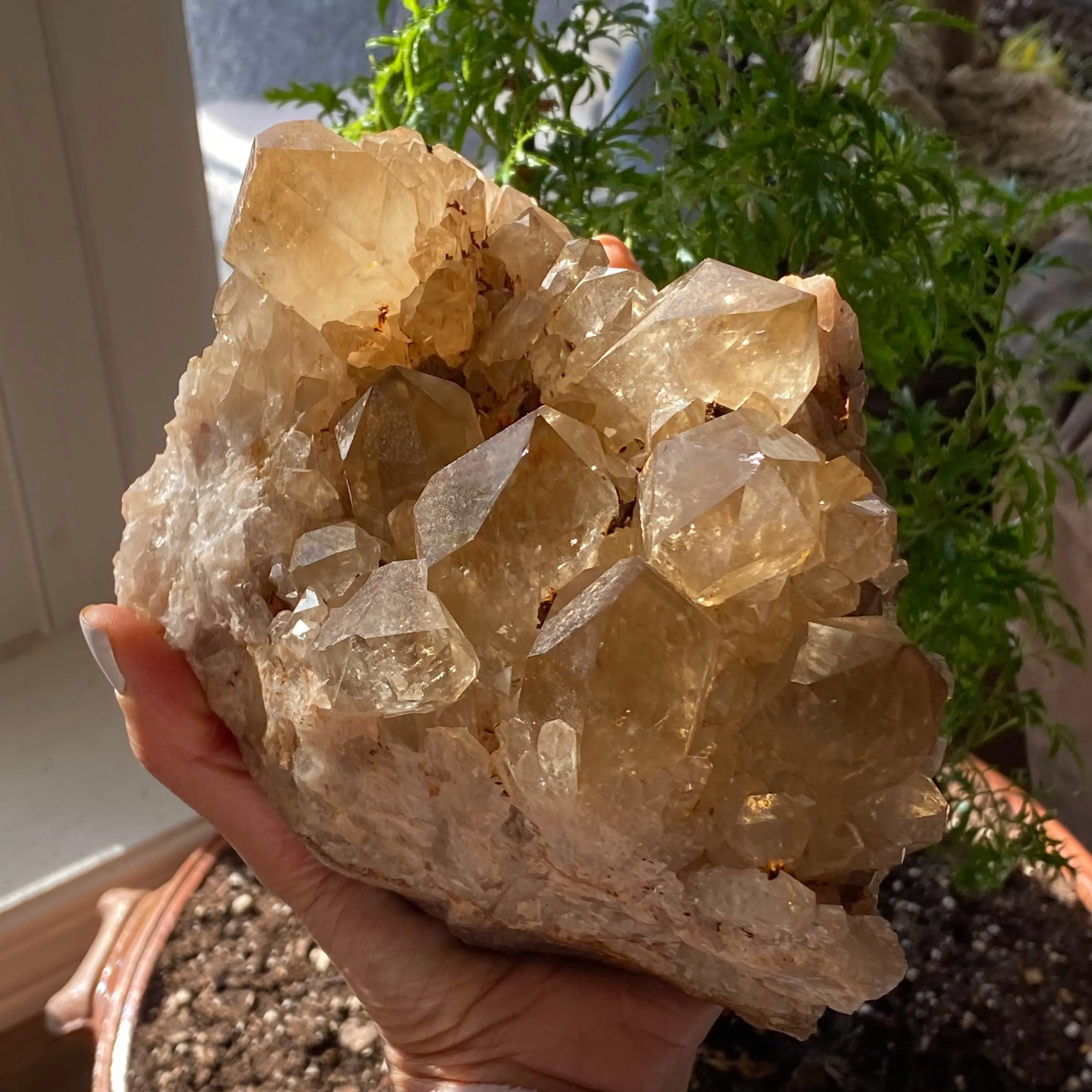 Large, Top Shelf, Natural Kundalini Quartz, Citrine From Democratic Republic Of Congo