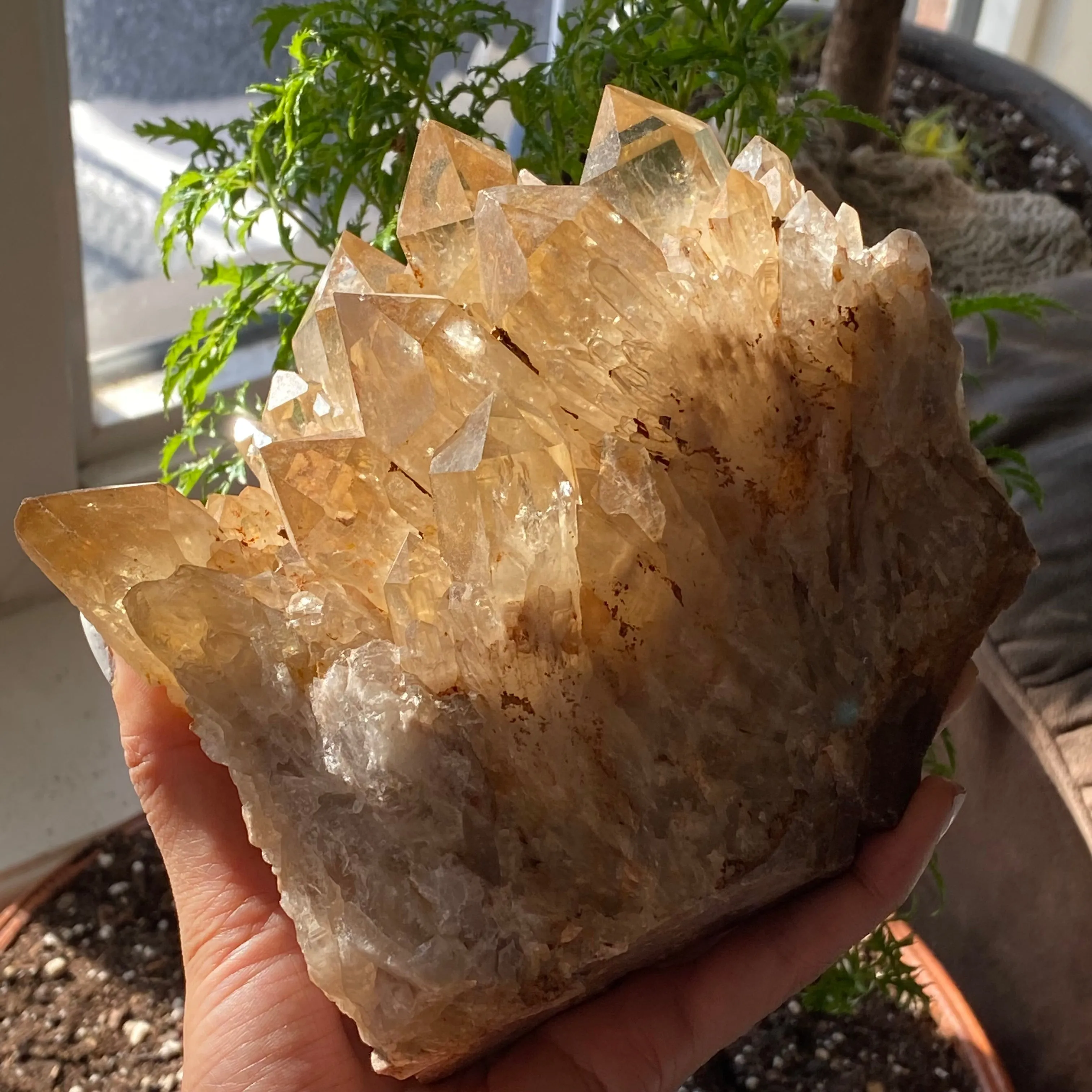 Large, Top Shelf, Natural Kundalini Quartz, Citrine From Democratic Republic Of Congo