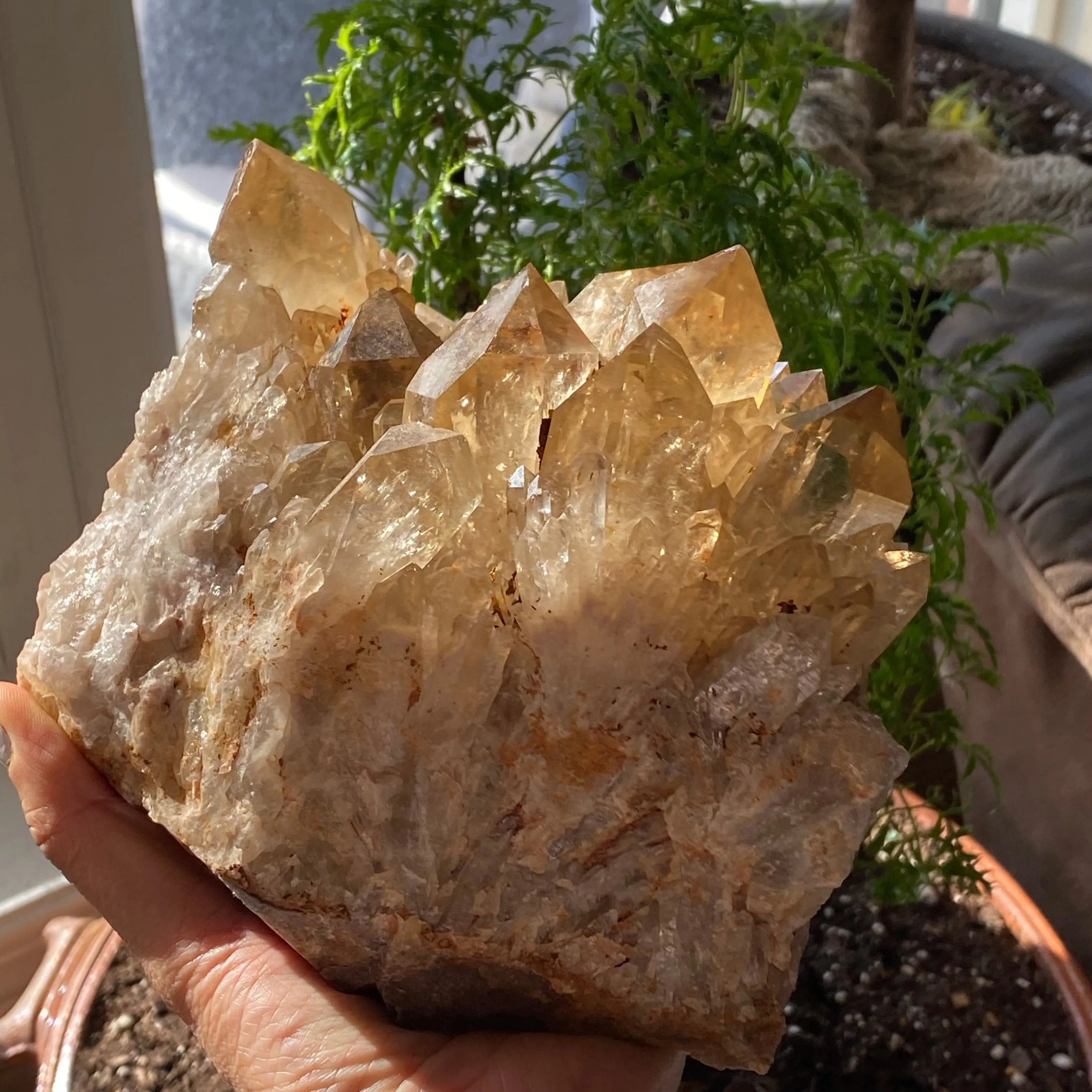 Large, Top Shelf, Natural Kundalini Quartz, Citrine From Democratic Republic Of Congo